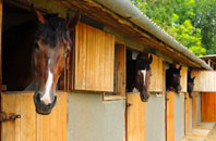 free Scamland stable construction quotes